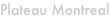 shapeimage_2_link_0